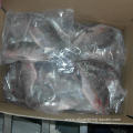 Frozen Tilapia Fish Whole Round 500-800g Gutted Scaled